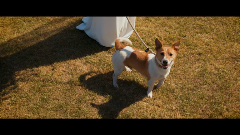 best wedding videographers grace and motion 3